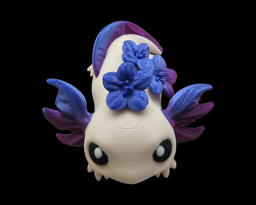 Axolotl